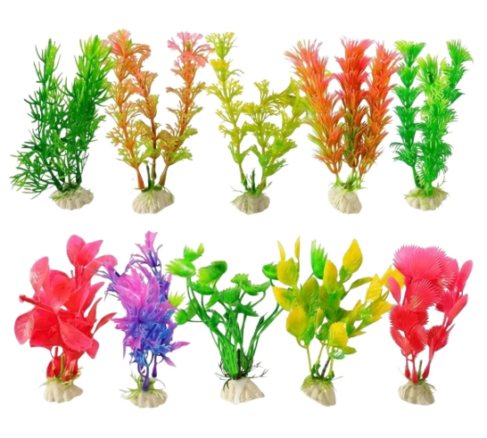 Plant 10cm (Model -4 inch Assorted)